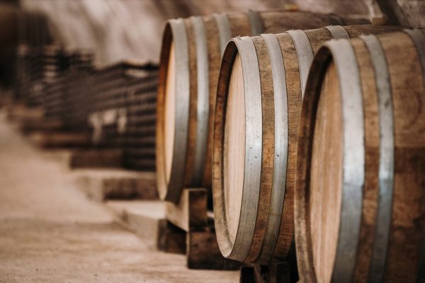 azienda vinicola colli euganei 2