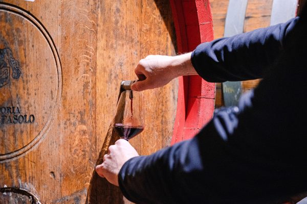 azienda vinicola colli euganei 3