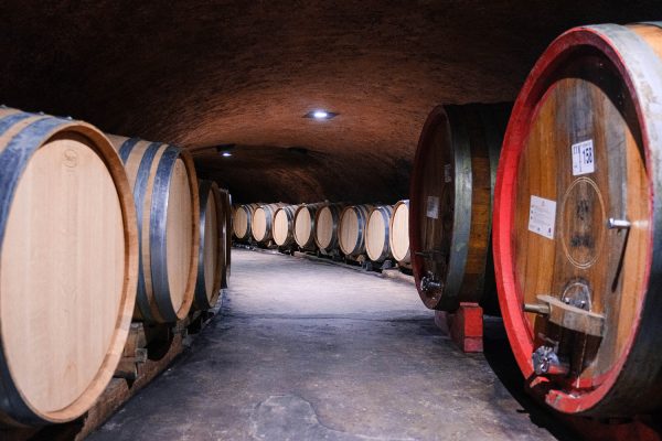 cantina monte fasolo 3