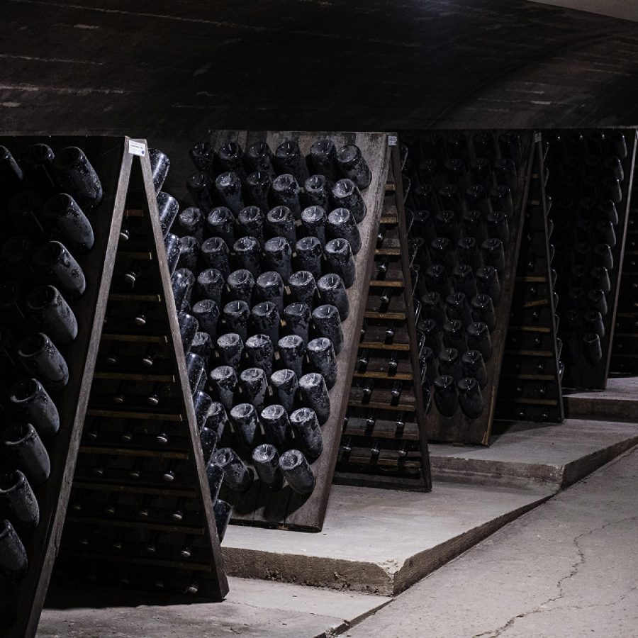 vini cantina colli euganei 3